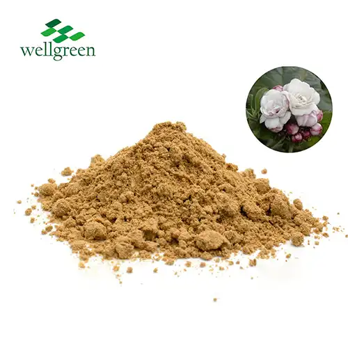 Clerodendrum Fragrans Extract